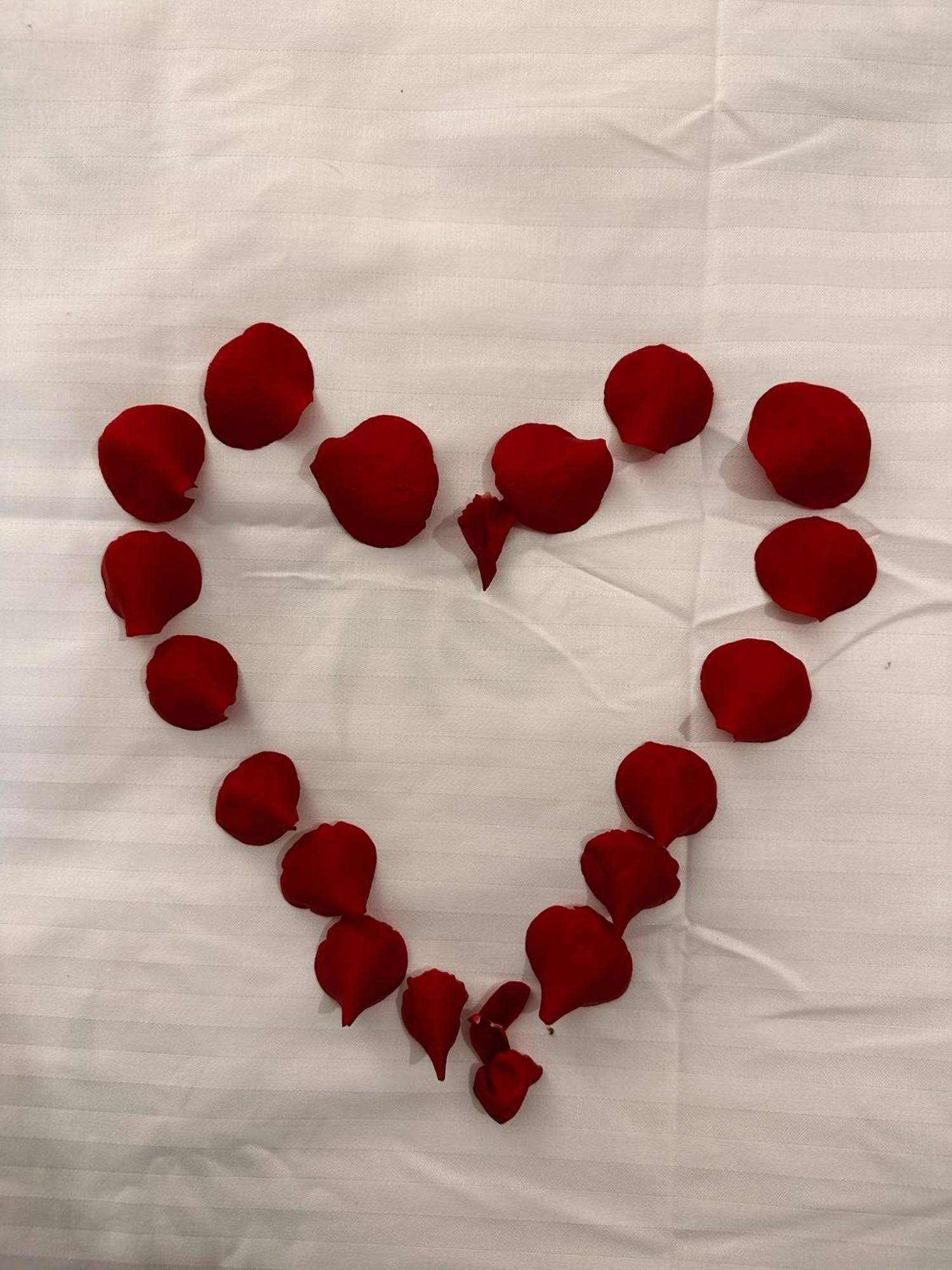 Romantic Charm, Spa, Free Early Check-In Bukarest Eksteriør billede